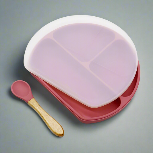 Silicone Plate with Lid & Spoon